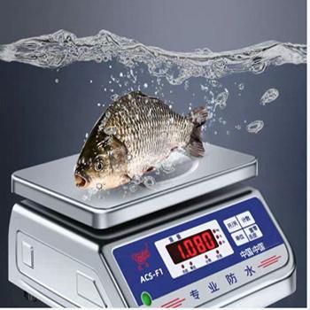 201 Stainless Steel 10kg Anti Slip Waterproof Electronic Kitchen Scale