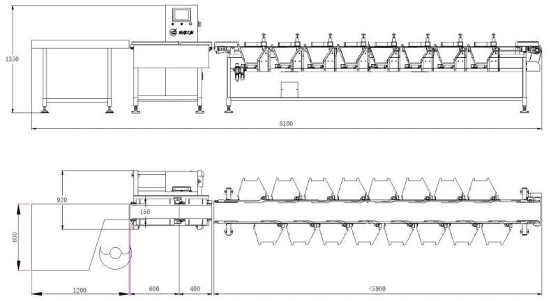 Checkweigher Type Weight Sorter Machine for Seafood and Fish