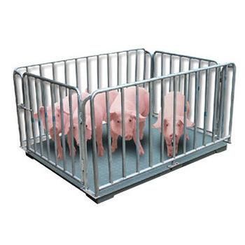 Heavy Duty 3000kg Livestock Pig Weighing Scale