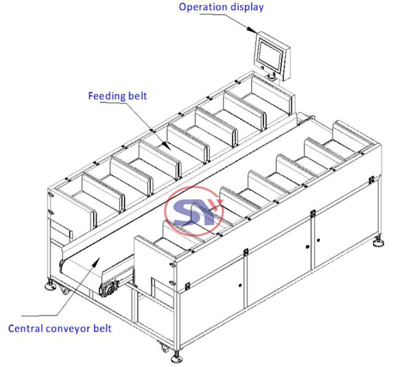 Belt Target Batcher Weighing Distributor Scale for Pitaya Apple