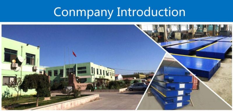 Factory Support Weighing Body Healthy Scale