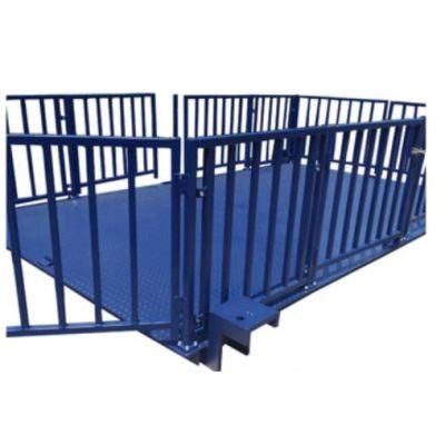 Cattle Weighing Scale 1000kg Digital Chute Weigh for Cattle Movable Cow Scale