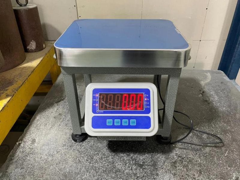 LED Indicator Digital Weighing Display Economic Type Scales