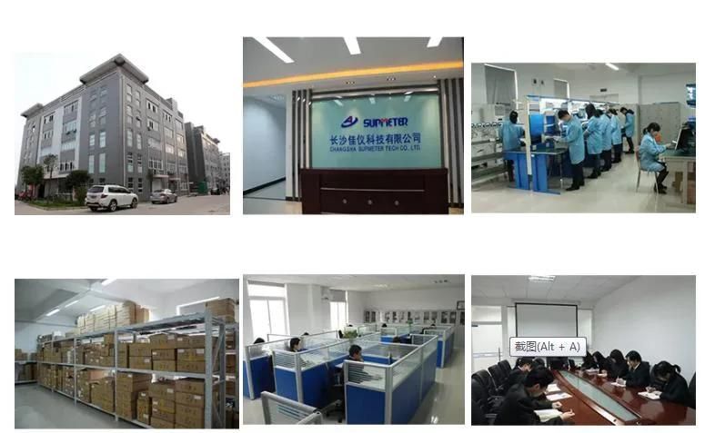 Ration Weighing Packing Controller for Packing Machine