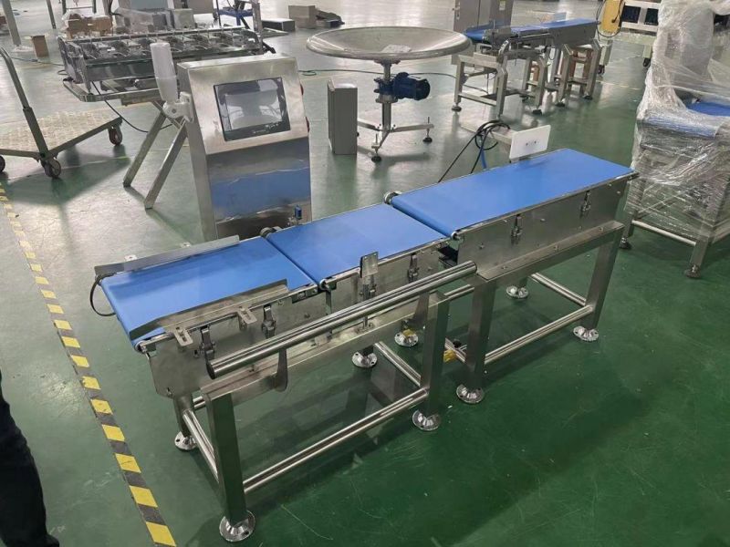 Manufacturer of Check Weight Machine 220 300 400 500 Belt Width Automatic Check Weigher