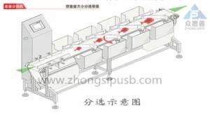 Good Performance Weight Sorting Machine for Production Line