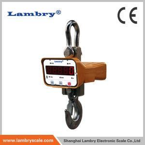 Lambry 10ton LED Crane Scale