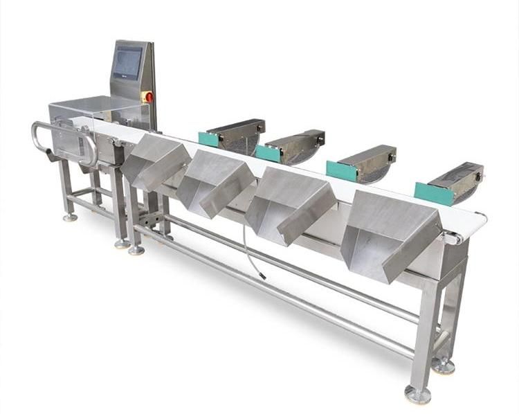 Juzheng Online Customized Automatic Belt Conveyor Food Touch Screen Checkweighers for 25kg Packaged Bag Big Carton