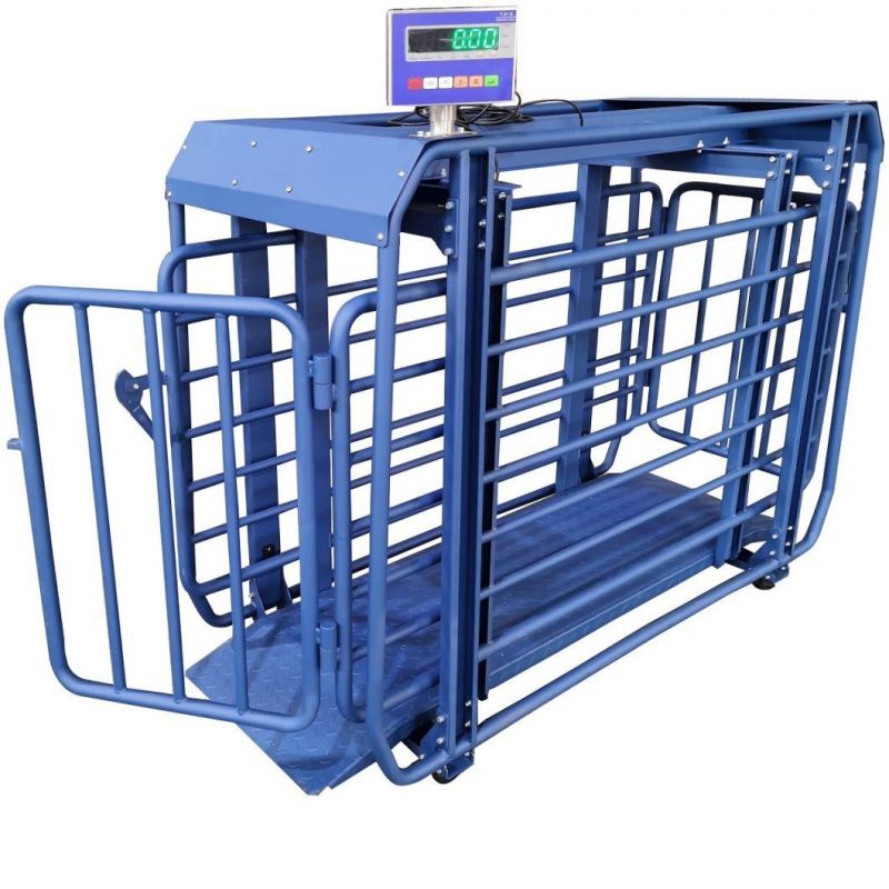 Pigs Digital Weight Scale Digital Cow Scales Live Cattle Weighing Scales Cattle Transport Trailer