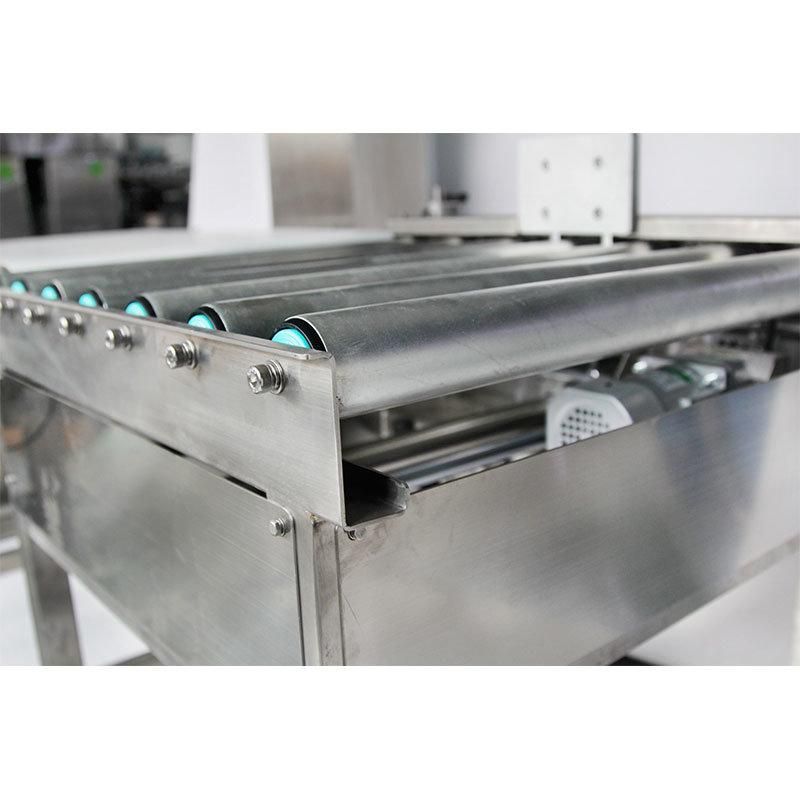 Automatic Checkweigher Manufacturer Weigher for Plastic Packaging Products