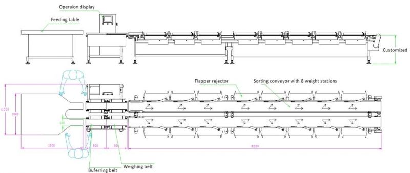 Online Weighing and Sorting Machine