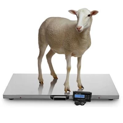 Digital Muti-Functional Postal Scale Weighing Scale