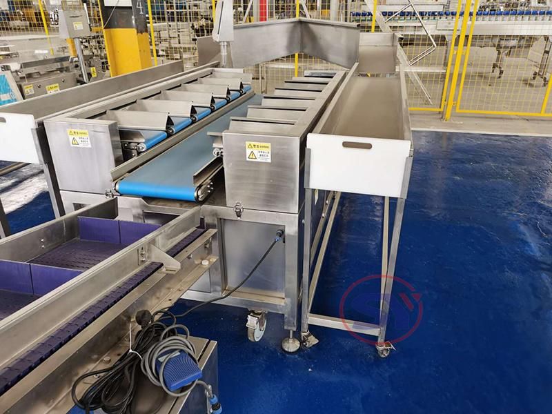 Platform Scale Electronic 12 Trays Weigher for Prawn Chicken Feet