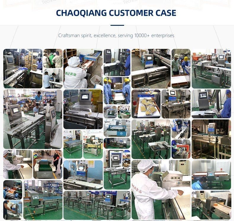 High Precision Checkweigher for Food Pharmaceutical Plastic Manufacturer Check Weigher