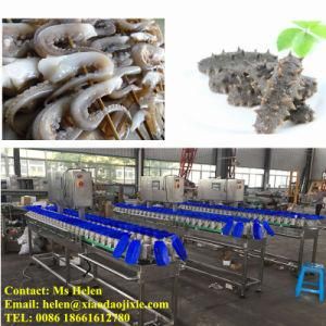 Shrimp Weight Sorter Machine, Seafood Weight Grader, Weighing Classifier