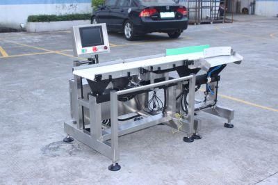 High Accuracy Pack Bag Belt Conveyor Automatic Check Weigher