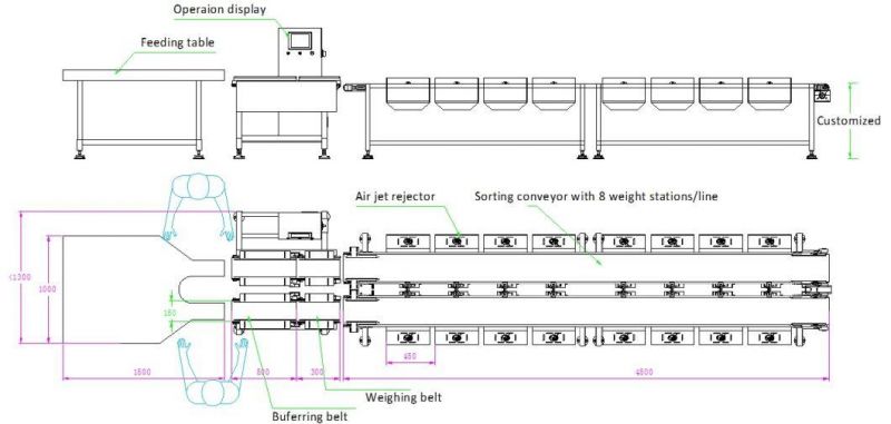 High Performance Automatic Industry Weight Sorting Machine