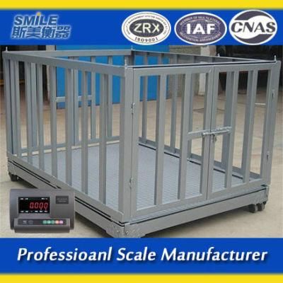 1*1m 900 Lbs Vet Veterinary Platform Scale for Animal Pet Dog Cat