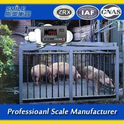 Simei Weight Electronic Weighting Scales Animal Scales with Digital Display