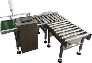 Belt Conveyor Checkweigher Online Weighing System