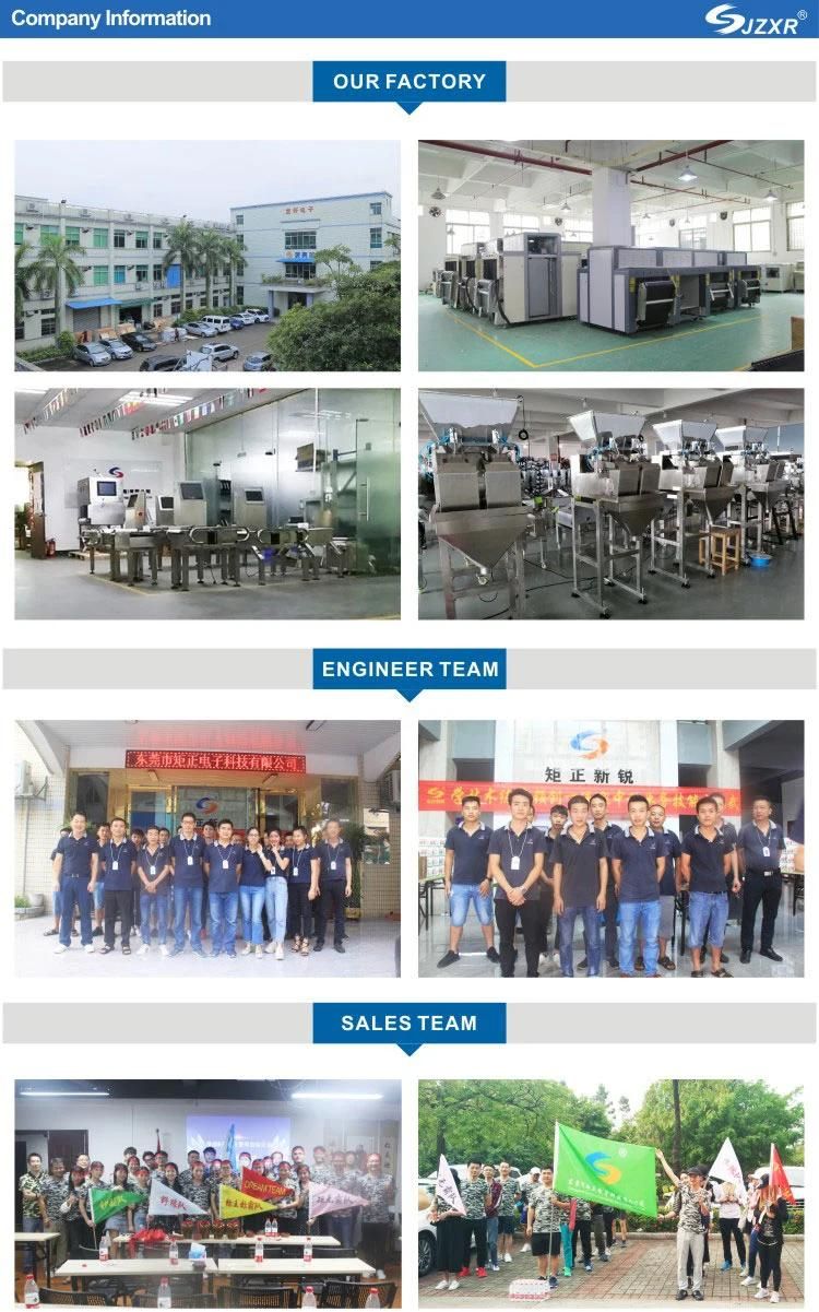 Juzheng Online Customized Automatic Belt Conveyor Food Touch Screen Checkweighers for 25kg Packaged Bag Big Carton