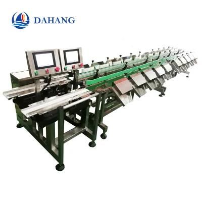 Pseudo-Ginseng Automatic Weight Sorter Machine