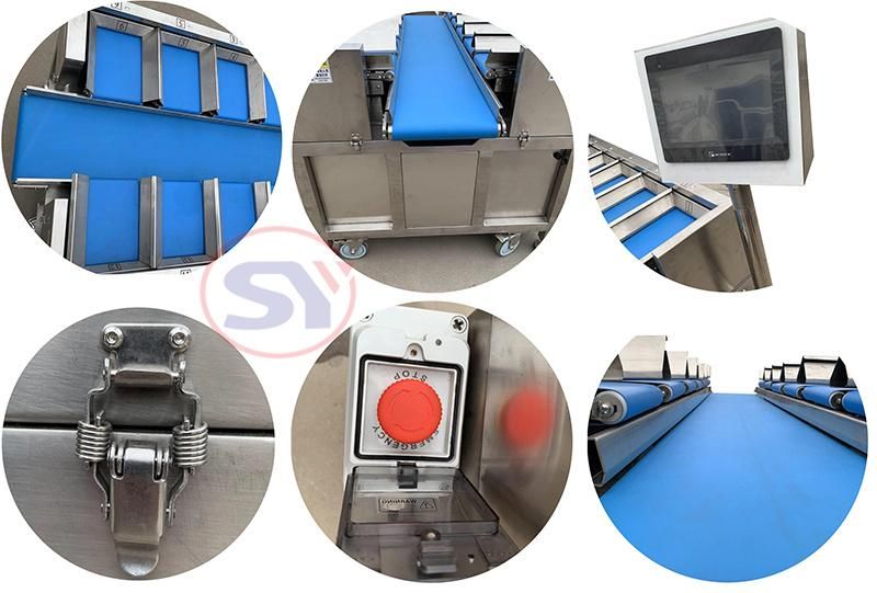 Combination Weigher Weighing Machine for Fish Fillet