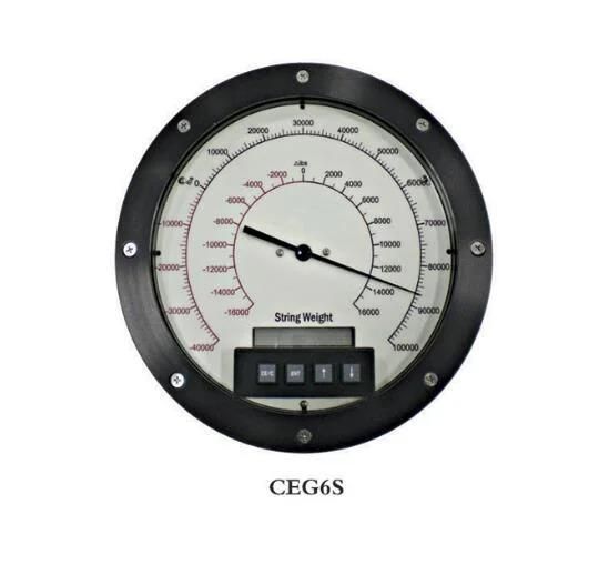Multi-Gauge Electronic Weight Indicator Ceg6s