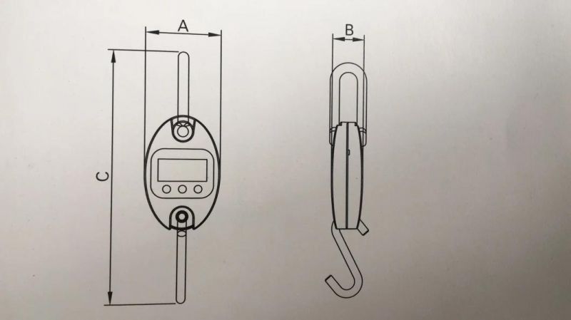High-Precision Waterproof Electronic Crane Scale for Sale