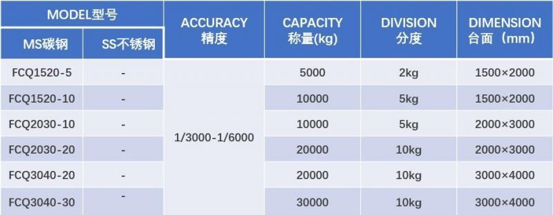 Carbon Steel Buffer Weghing Scale 30t Digital Platform Weighing Scale Platfom Floor Scale