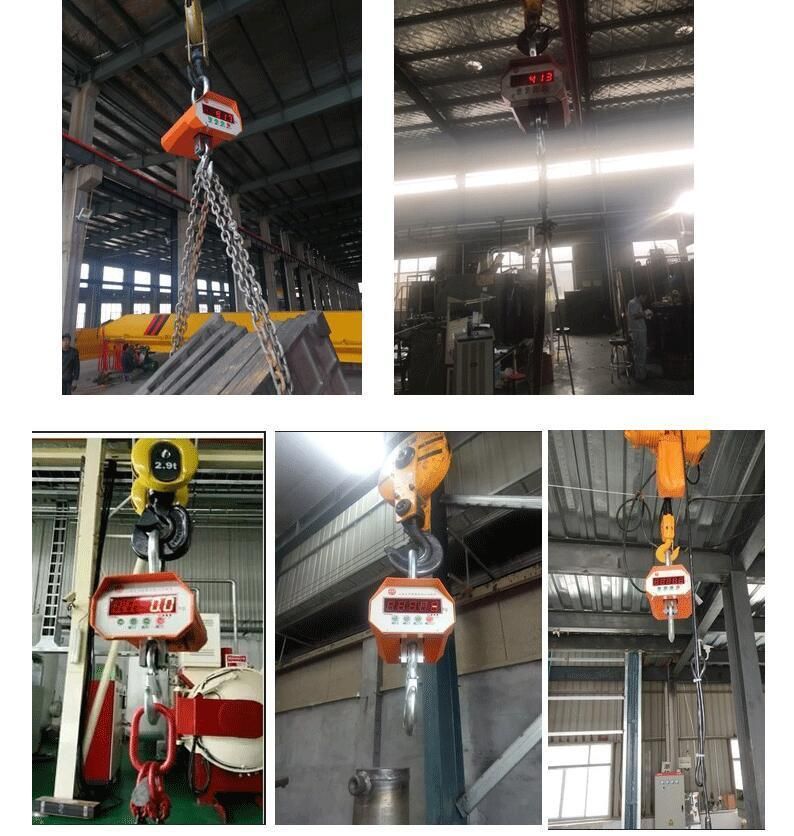 Industrial Use Crane Scale 1mt/3mt/5mt/10mt 3 Years Guarantee