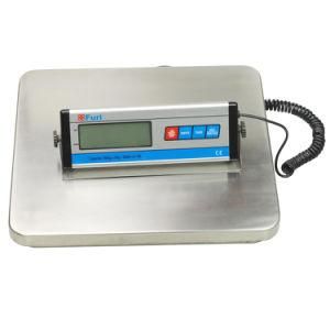 Fcs-C 150kg/50g Shipping Scale with Stainess Still Platform