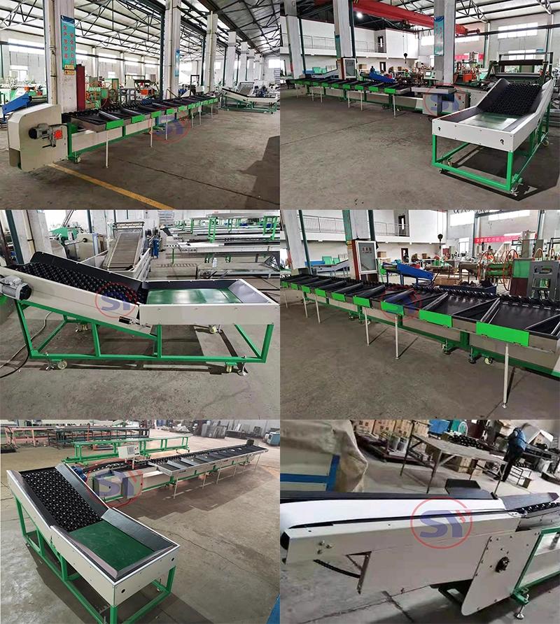 Apple Washing Weight Soting Waxing Processing Machine Line with Large Cpacity