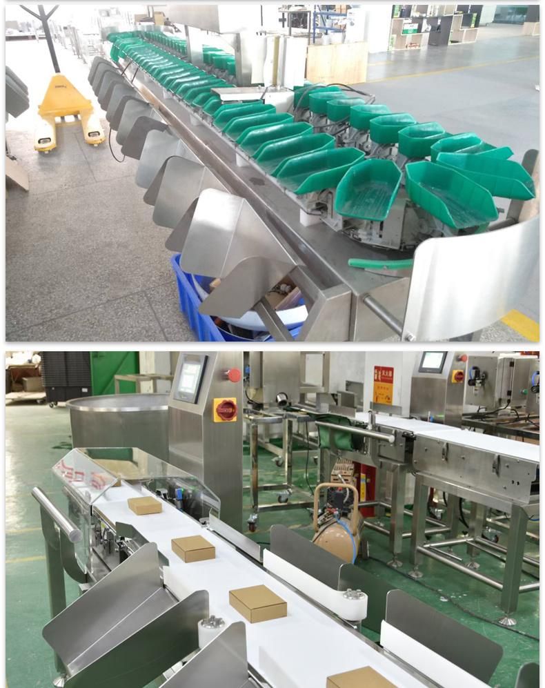 Chicken Product Shrimp Sorter for Fish Accurate Automatic Weight Grading Sorting Machine