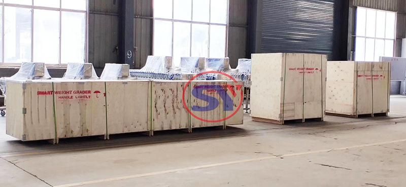 Safe Hygiene Food Standard PU Belt Weight Checking Machine Weigher for Vacuum Packaging