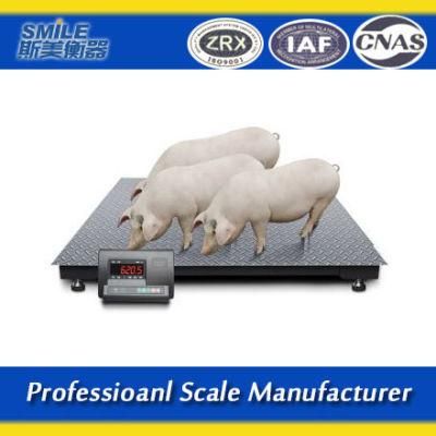 1.2*1.2m Clever Electric Weighing Platform Scale for Animals 2000kg