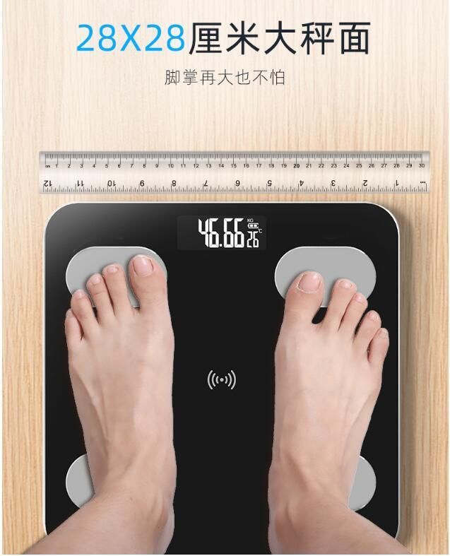 Body Scales for Keep Fit Control with APP Check