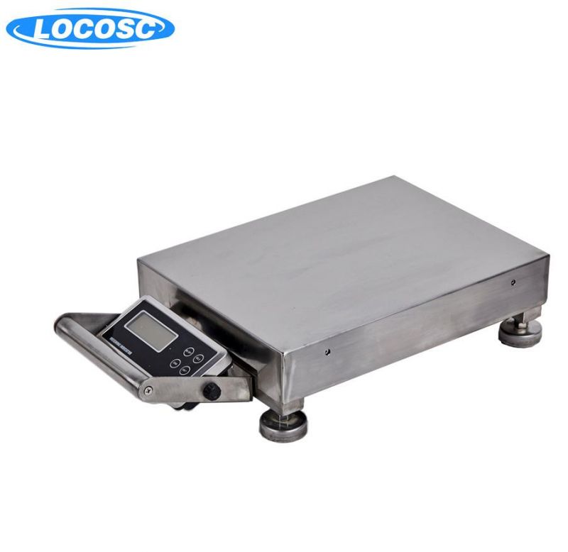 Portable Electronic Bench Scale with LCD Display