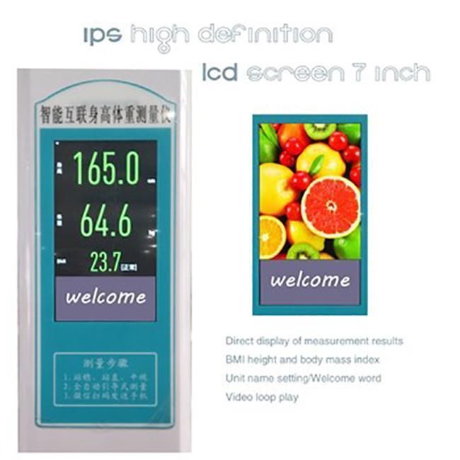 LCD Display Electronic Height and Weight Scale with Printer