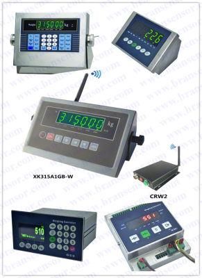 Weighing Terminal and Indicator (B-indicators series)