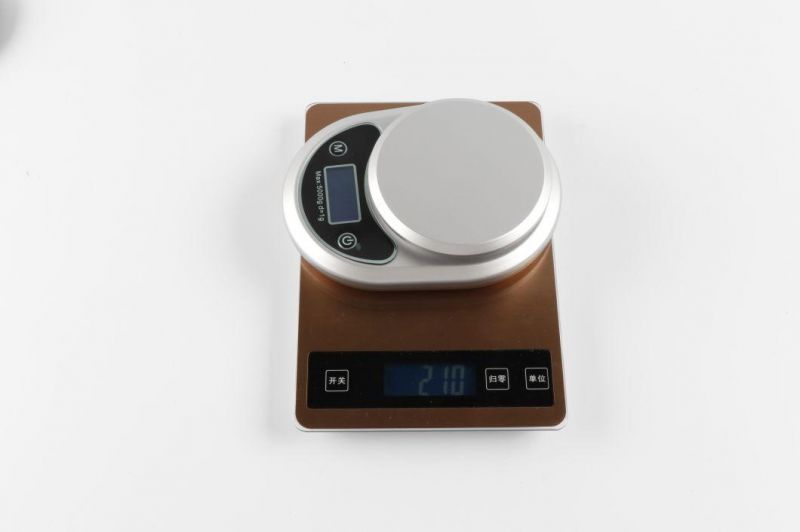 New Design Big Round Platform Kitchen Scale Waterproof All Body with Blue Backlight