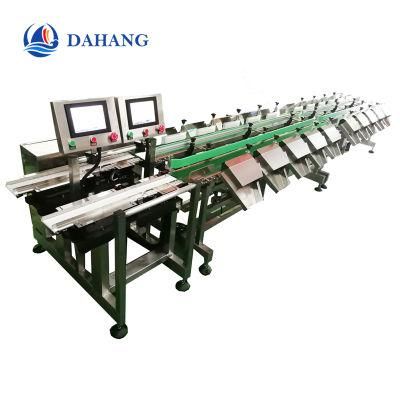 Automatic Weighing and Sorting Machine