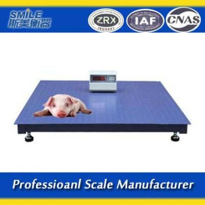2500 Kg Digital Weight Machine Floor Scale Industrial Weighing Scale