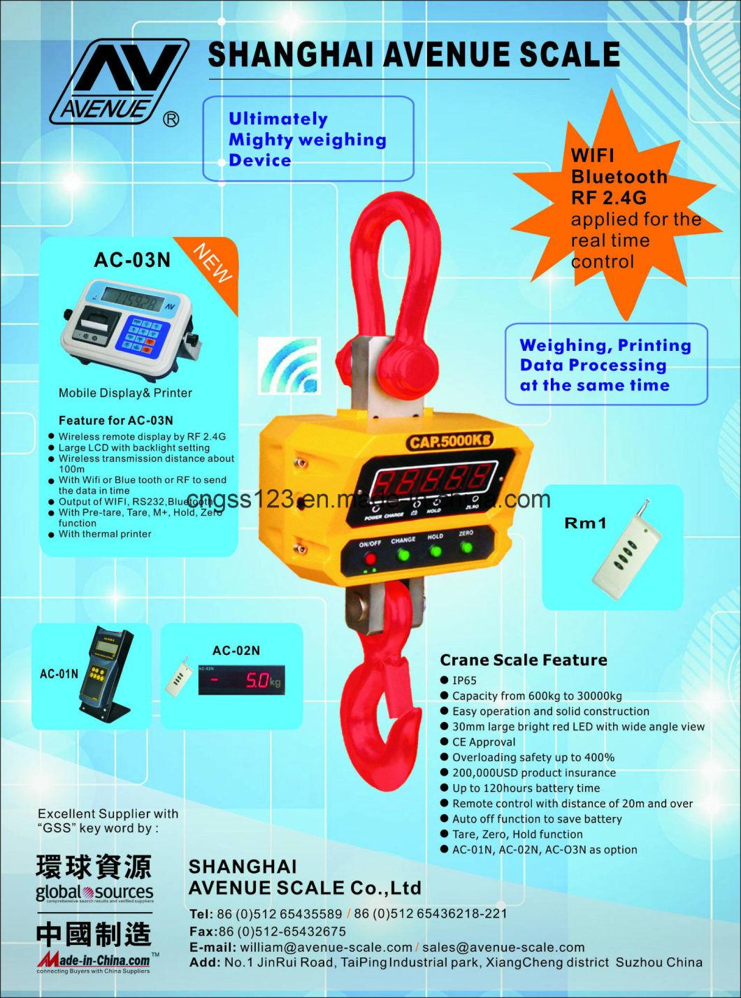 Digital Crane Scale Small Capacity: 300kg with LED$Remote (GS-E)