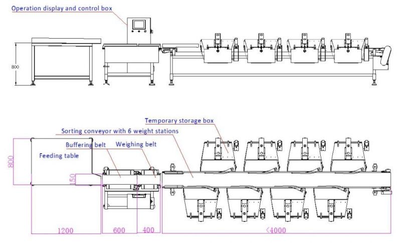 Live Oyster Weight Sorting Machine Seafood Selected Machine