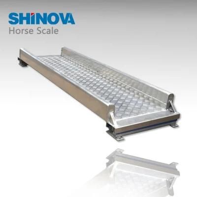 Horse Scale (AS-2200)