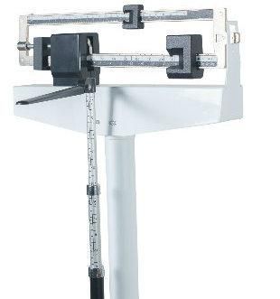 Double Ruler Body Scale; Rgt-140/160/200-Rt; Ruler Scale