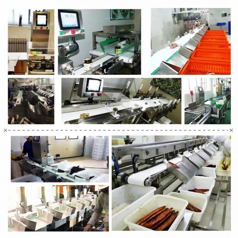 Chicken and Meat Weight Classifier Machine for Meat Processing Line