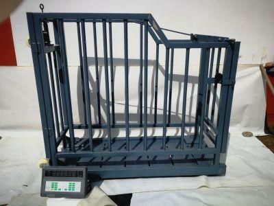 High-Quality Livestock Cattle Weighing Scale on Farm