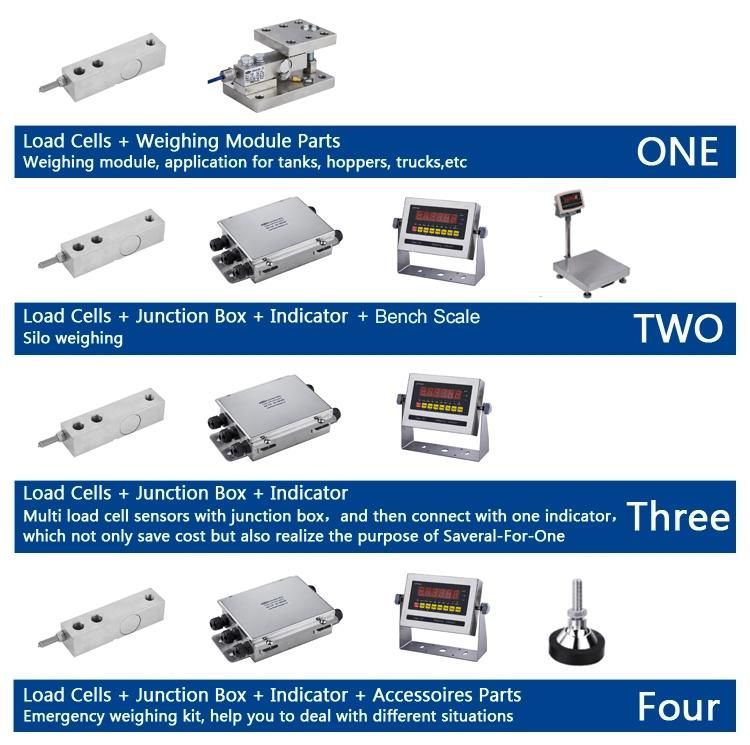 Locosc Strain Digital Weighbridge Indicator